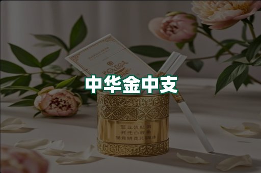中华金中支